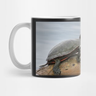 Painted turtle on log Mug